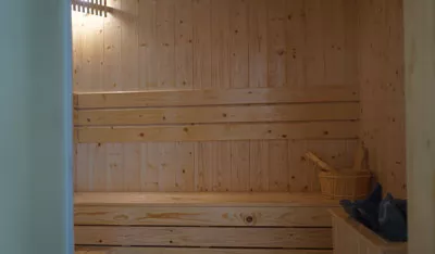 Sauna room